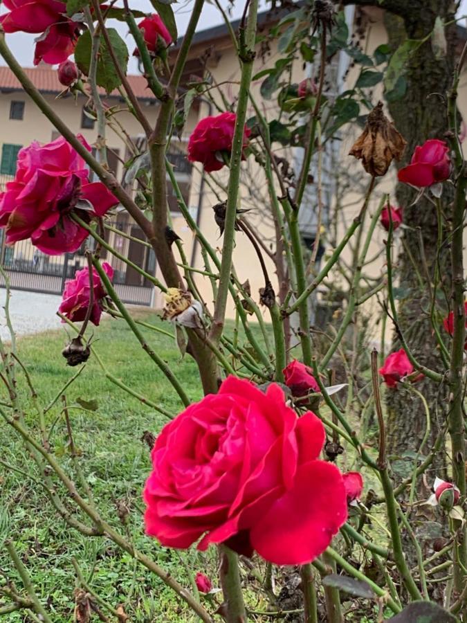 Farm stay Cascina Mariale Albiano D'Ivrea